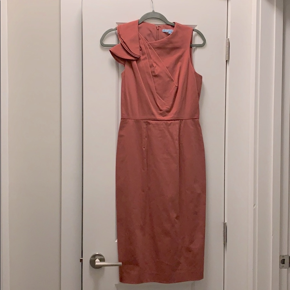Antonio Melani Pink formal dress